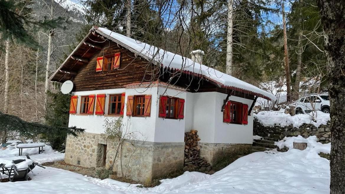 Chalet Le Tyrolien, Au Coeur Du Boreon Сен-Мартен-Везюбі Екстер'єр фото