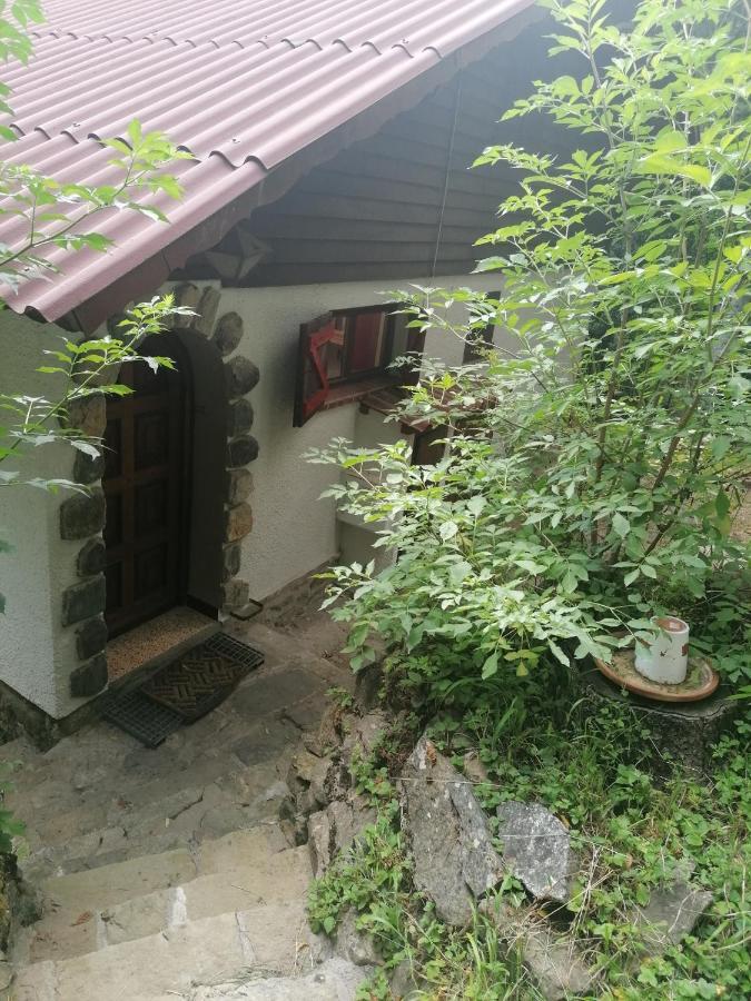 Chalet Le Tyrolien, Au Coeur Du Boreon Сен-Мартен-Везюбі Екстер'єр фото